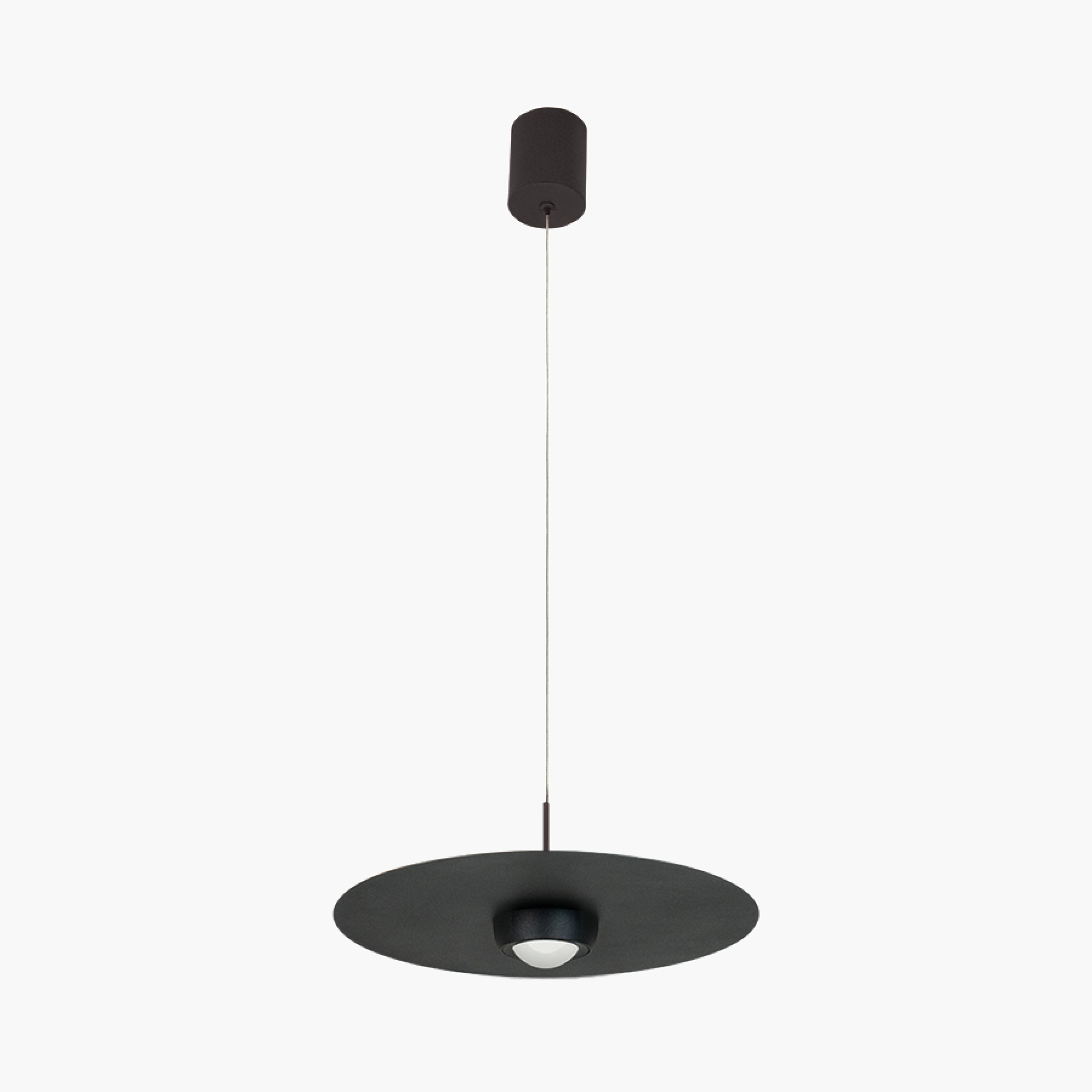 Plate Small 2585 riippuvalaisin