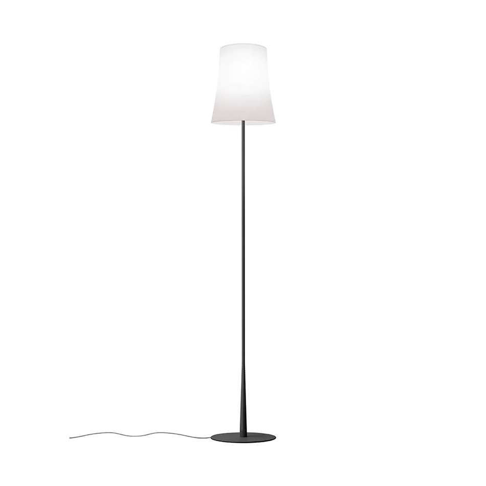 Birdie Easy lattiavalaisin