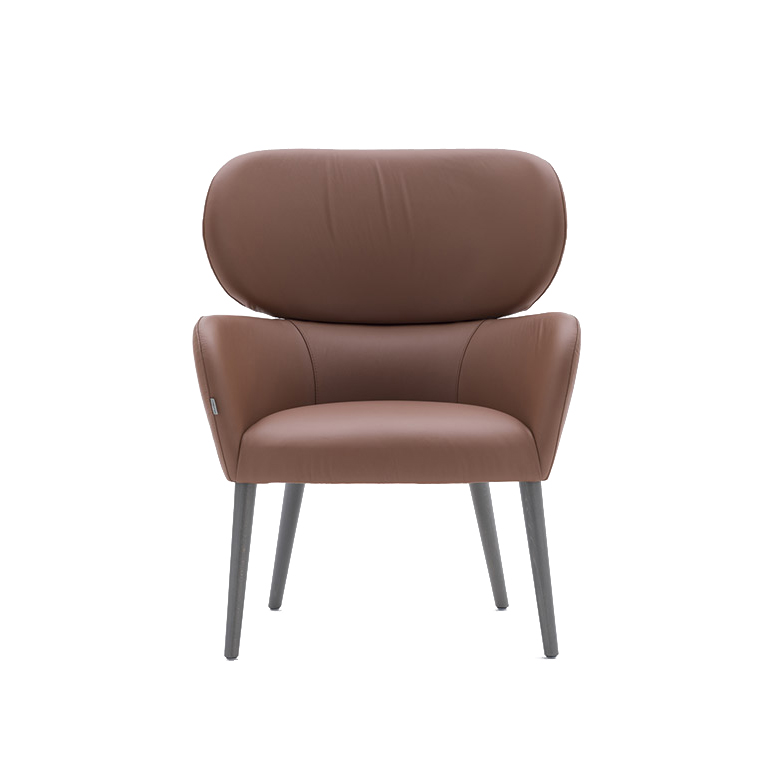 Sofia 05641 tuoli käsinojin