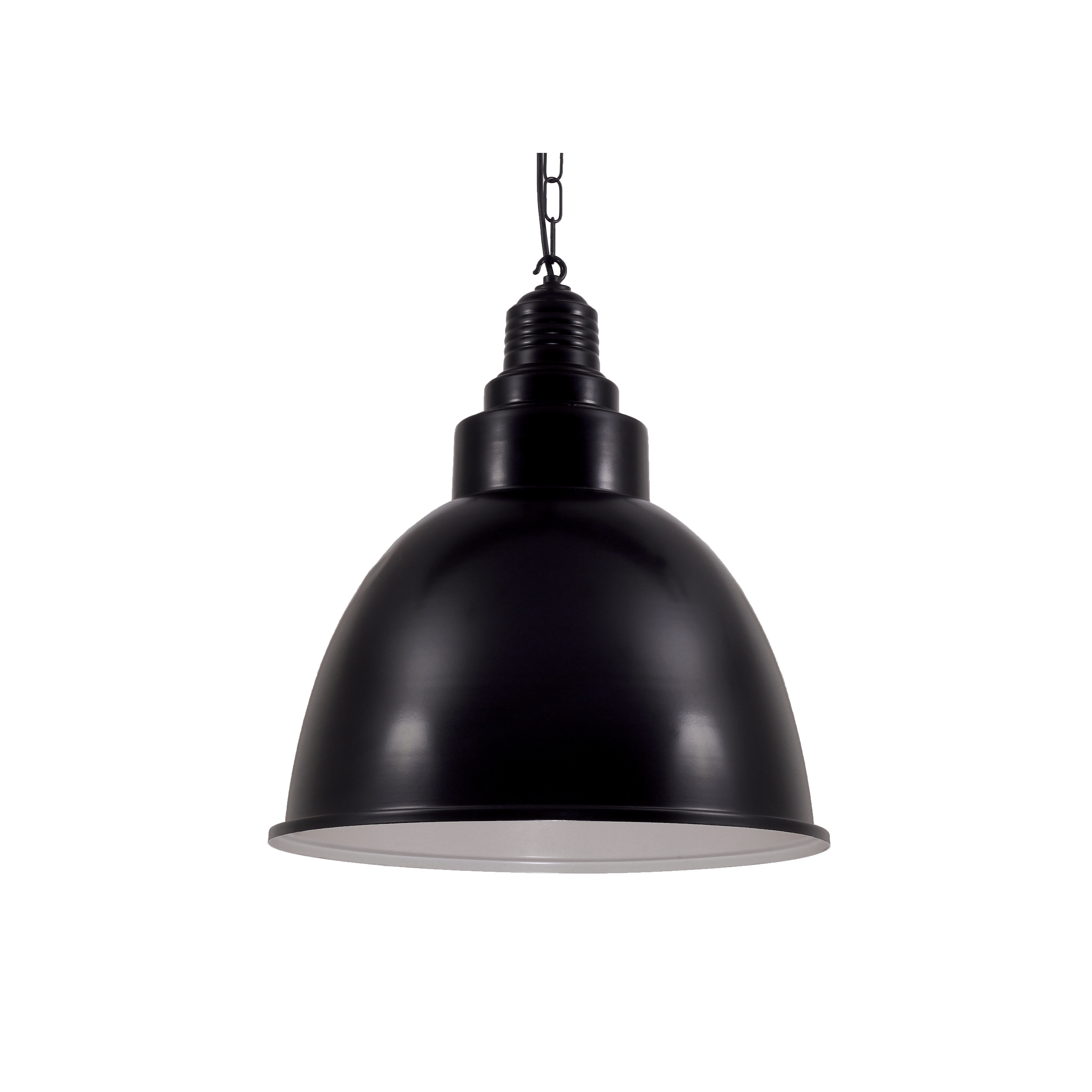 Danicaans riippuvalaisin