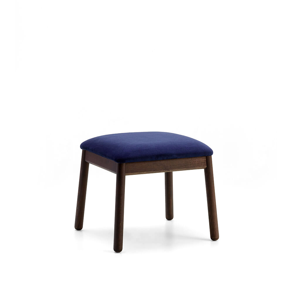 Frida 8.01.0 verhoiltu rahi