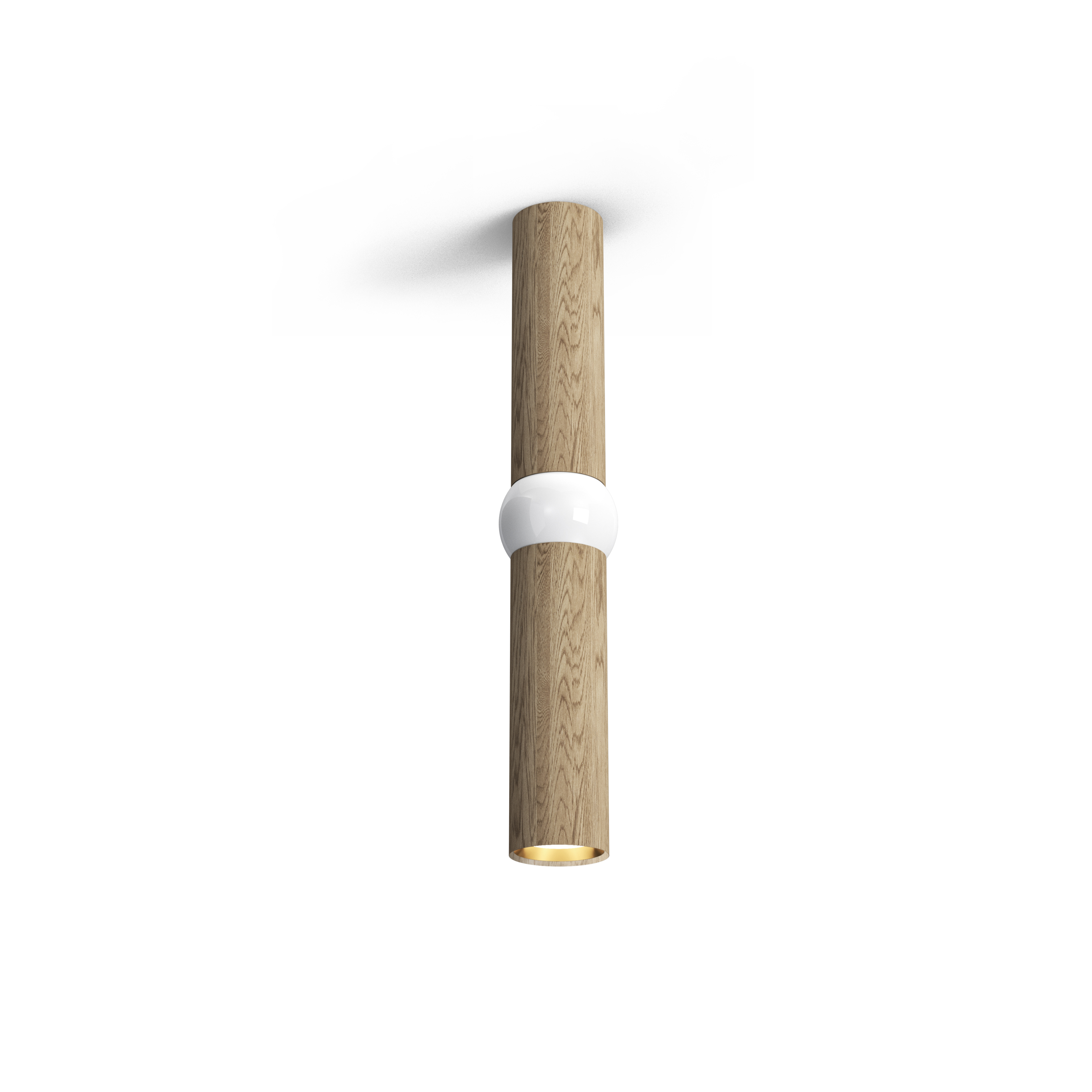 Lightbone M kattovalaisin