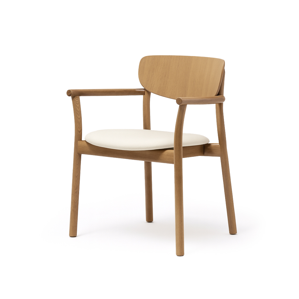 Zelda 2.01.I tuoli käsinojin